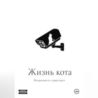 Искренность Существует. Жизнь кота