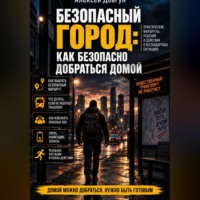 Алексей Довгун. Безопасный город: Как безопасно добраться домой