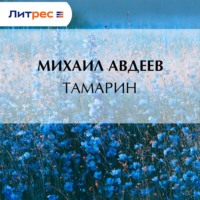 Михаил Васильевич Авдеев. Тамарин