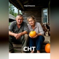 Андрей Владимирович Вершков. СНТ