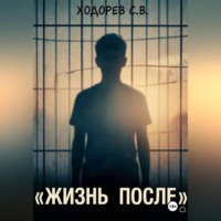 Сергей Ходорев. Жизнь после