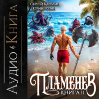 Сергей Карелин. Пламенев. Книга XI