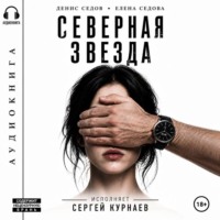 Денис Седов. Северная Звезда