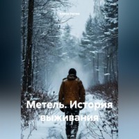 Алмаз Нигма. Метель. История выживания