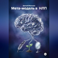 Дмитрий Малышев. Мета-модель в  НЛП