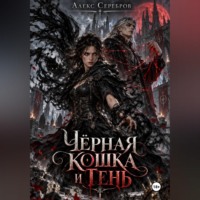 . Чёрная кошка и тень