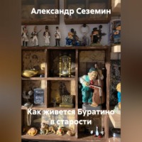 . Как живется Буратино в старости