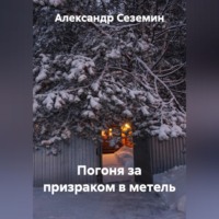 . Погоня за призраком
