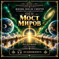 . Жизнь после смерти. Путешествие души глазами Рода. Том 3. Мост Миров