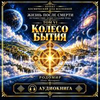 . Жизнь после смерти. Путешествие души глазами рода. Том 6. Колесо бытия