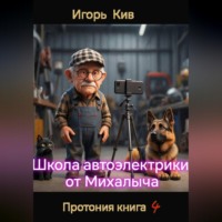 Игорь Кив. Протония. Школа автоэлектрики от Михалыча