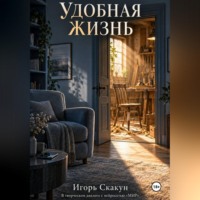 Игорь Скакун. Удобная жизнь