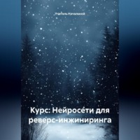 Учитель Начальной. Курс: Нейросети для реверс-инжиниринга