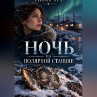София Вул. Ночь на полярной станции
