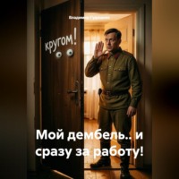 Владимир Савельевич Гудошник. Мой дембель... и сразу за работу!