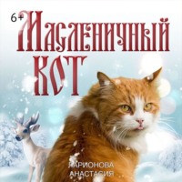 Анастасия Ларионова. Масленичный кот