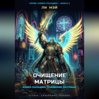 . Кибер-Паладин: Очищение Матрицы