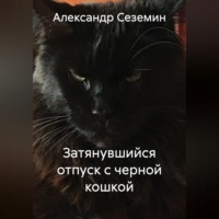 . Затянувшийся отпуск с черной кошкой