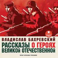 . Рассказы о героях Великой Отечественной