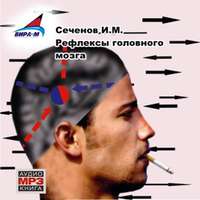 . Рефлексы головного мозга