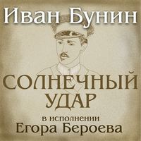 . Солнечный удар. рассказ
