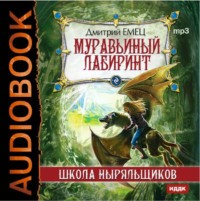 . Муравьиный лабиринт