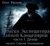 . Записки экспедитора Тайной канцелярии. Дозор