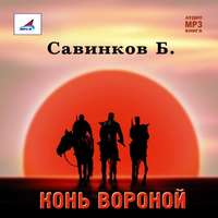 . Конь вороной